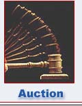 Auction